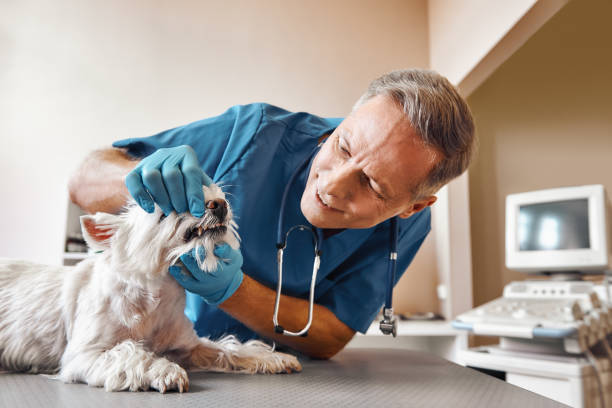 Best Emergency Treatment for Dental Infections or Abscesses in Ada, OK